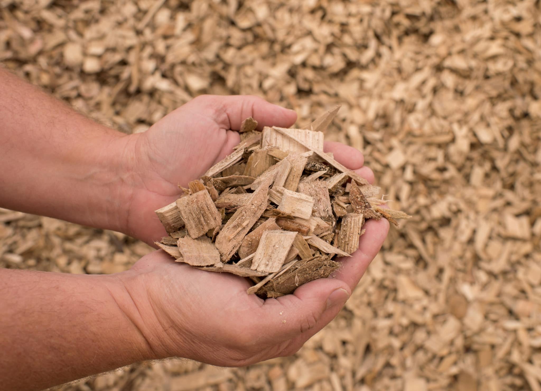 wood-chips2-2048x1481.jpg