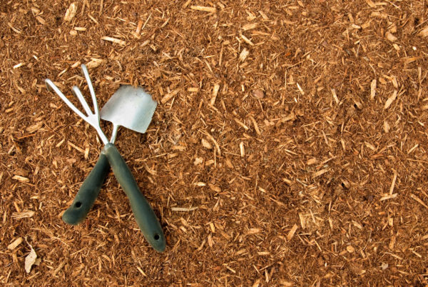 Mulch and Garden Tools
