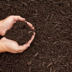 Coffee Brown Mulch