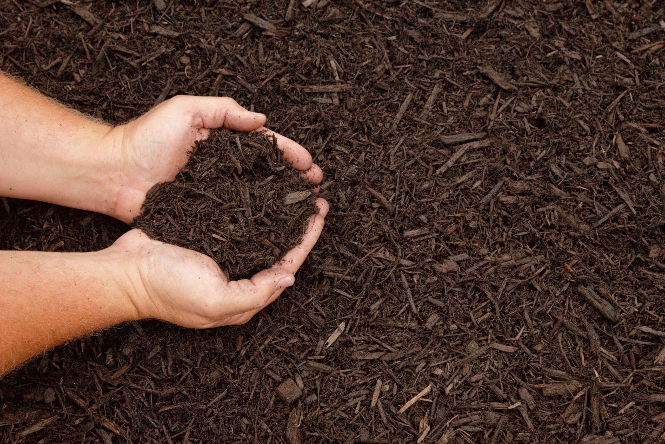 Coffee Brown Mulch