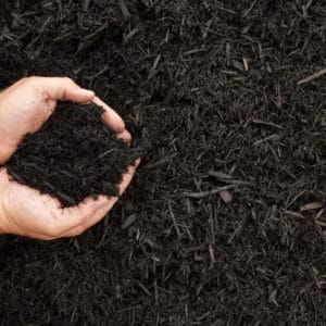 Colonial Black Mulch