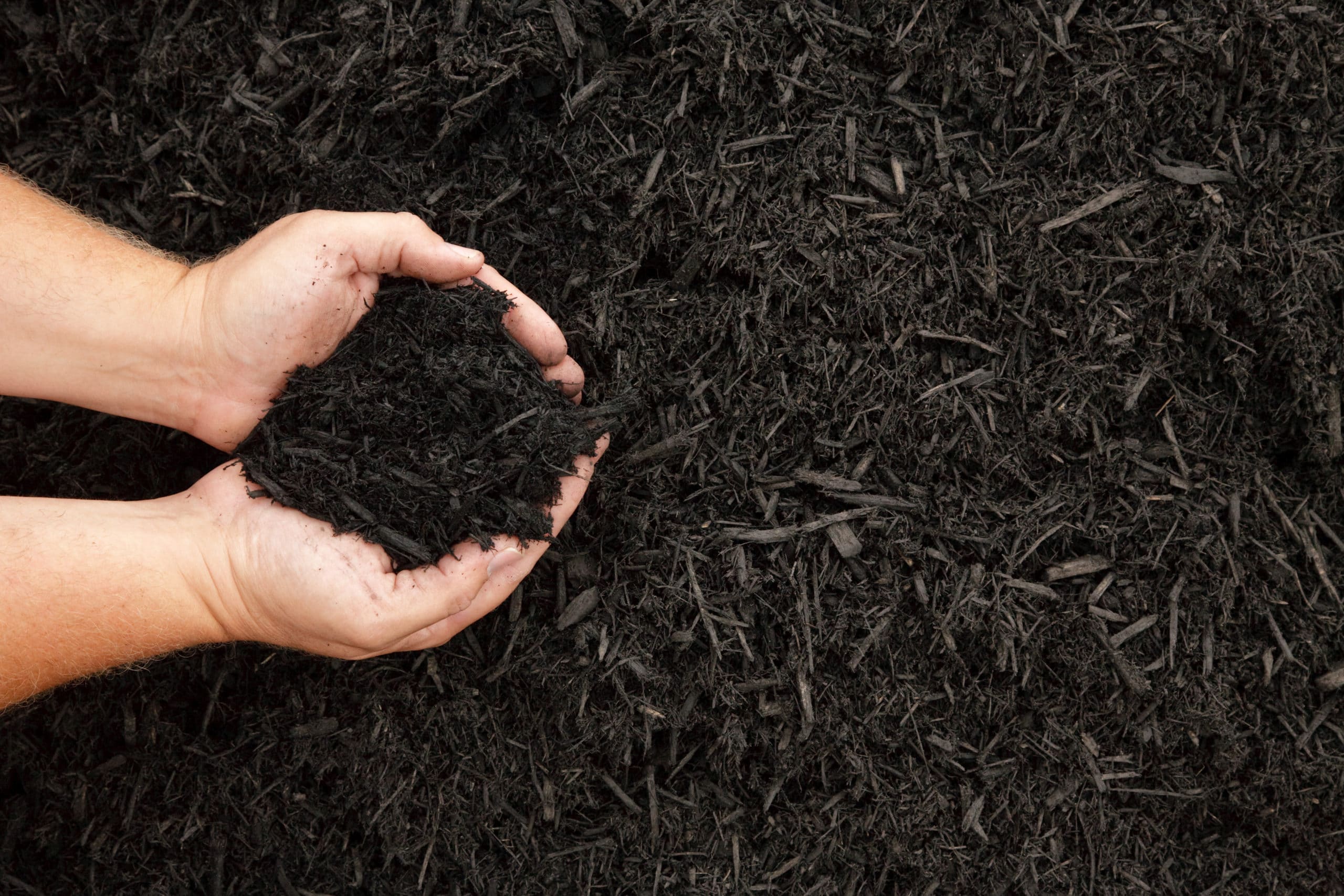 Colonial Black Mulch