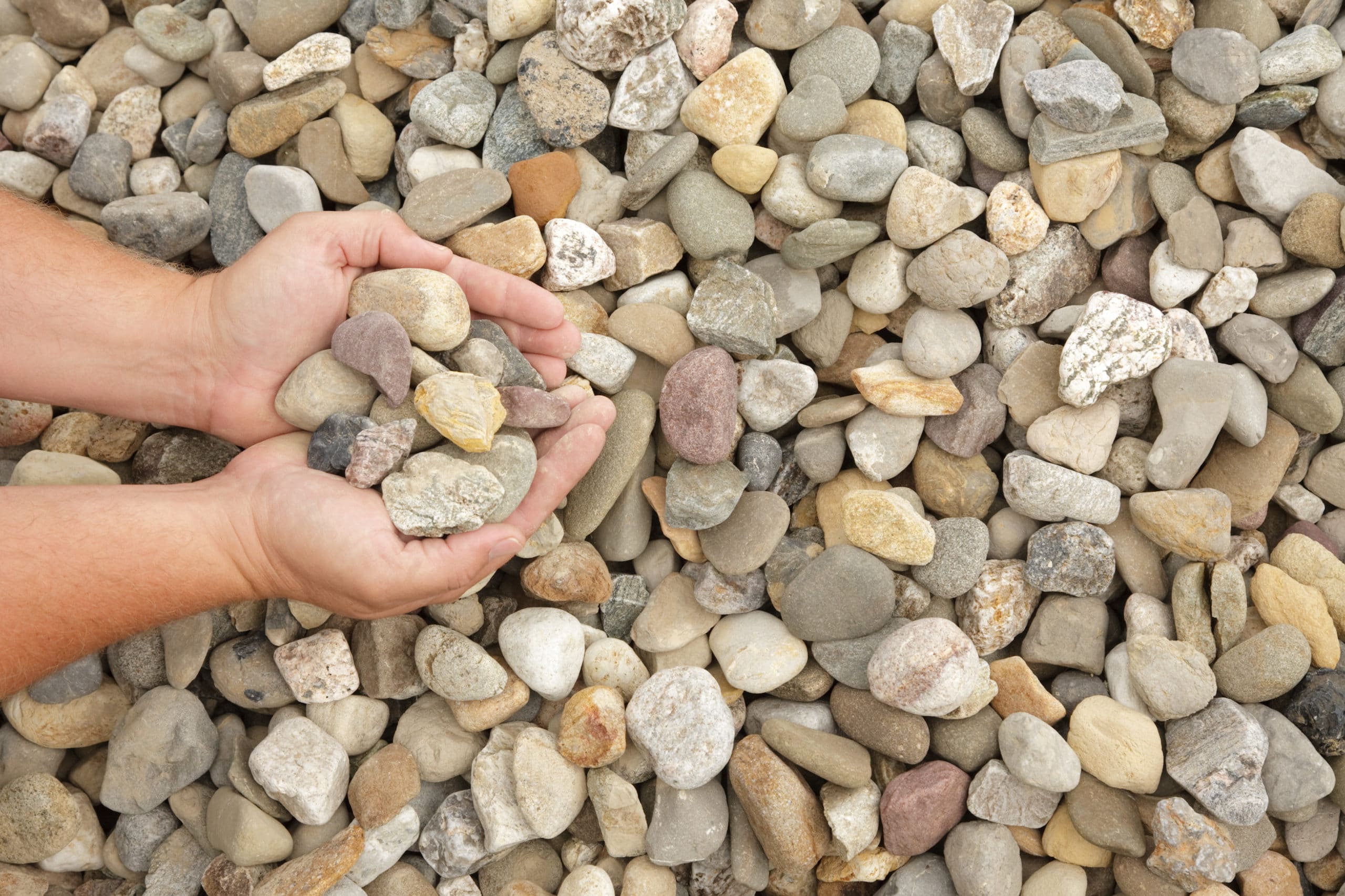 Delaware River Stone 1 scaled Delaware River Stone