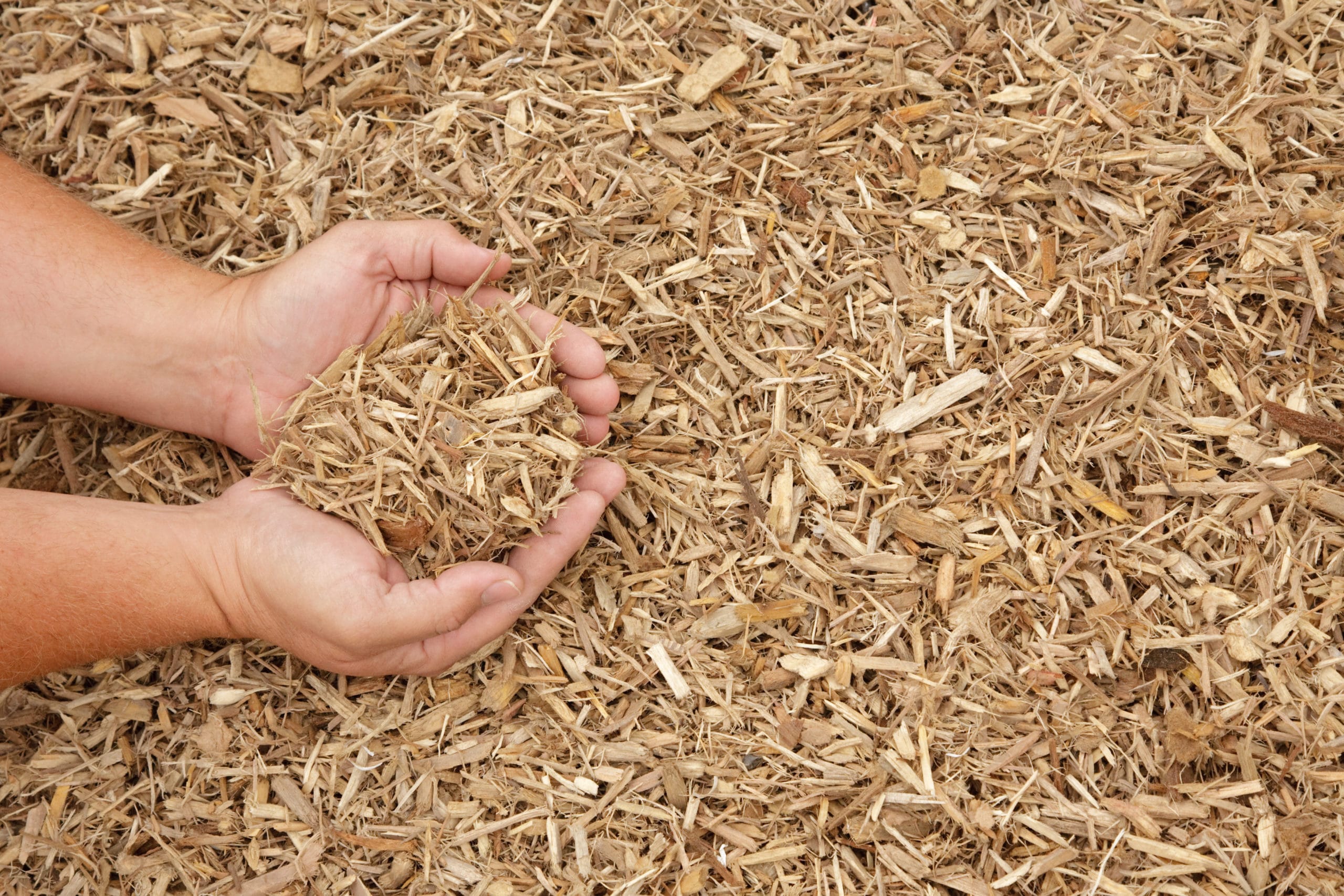 Playground Cover