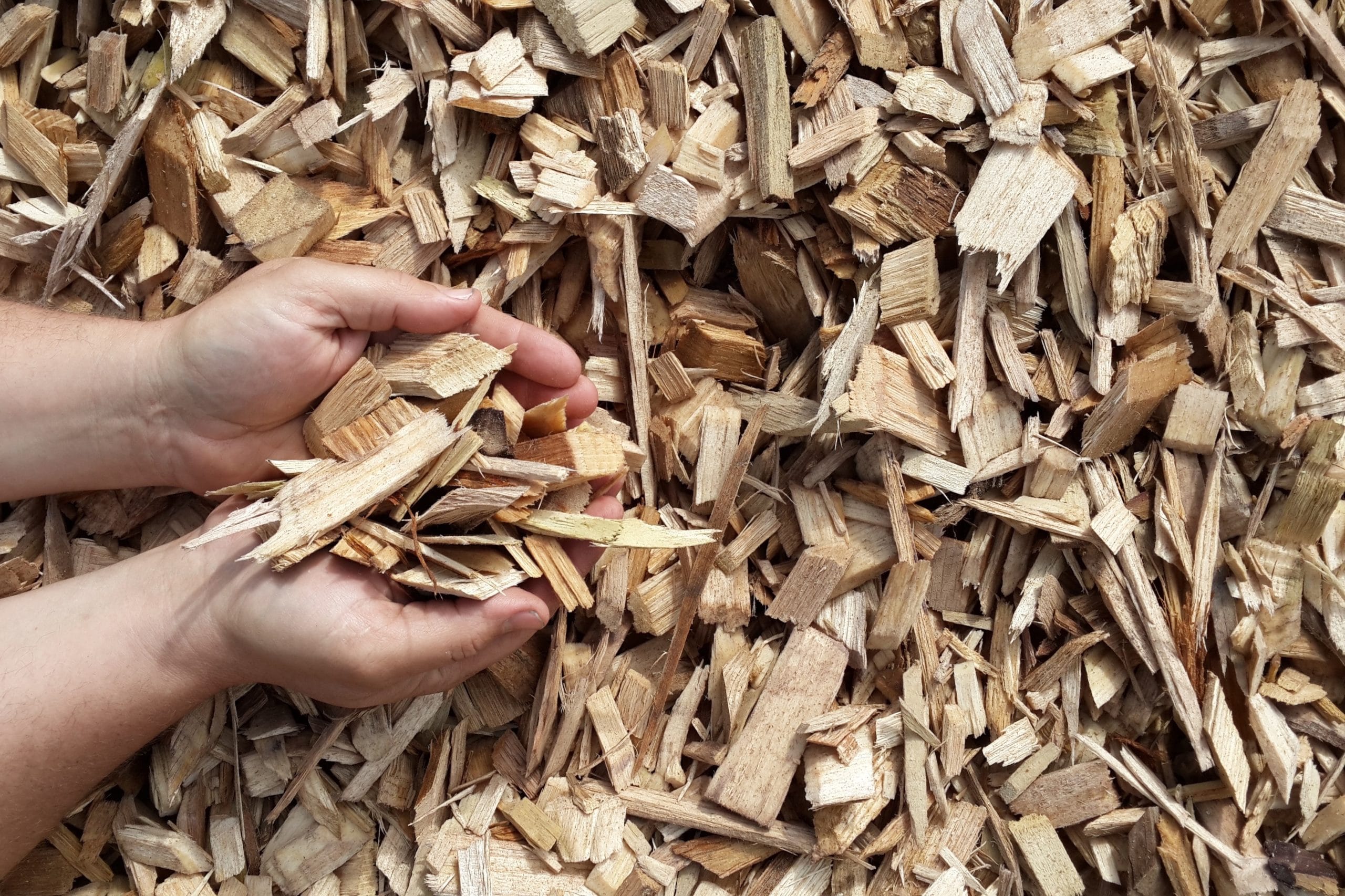 Wood Chips