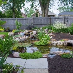 fish ponds and waterfalls