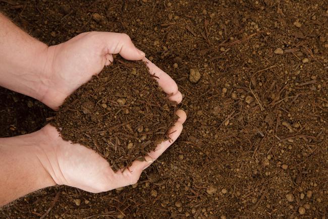 Amended Soil Blends