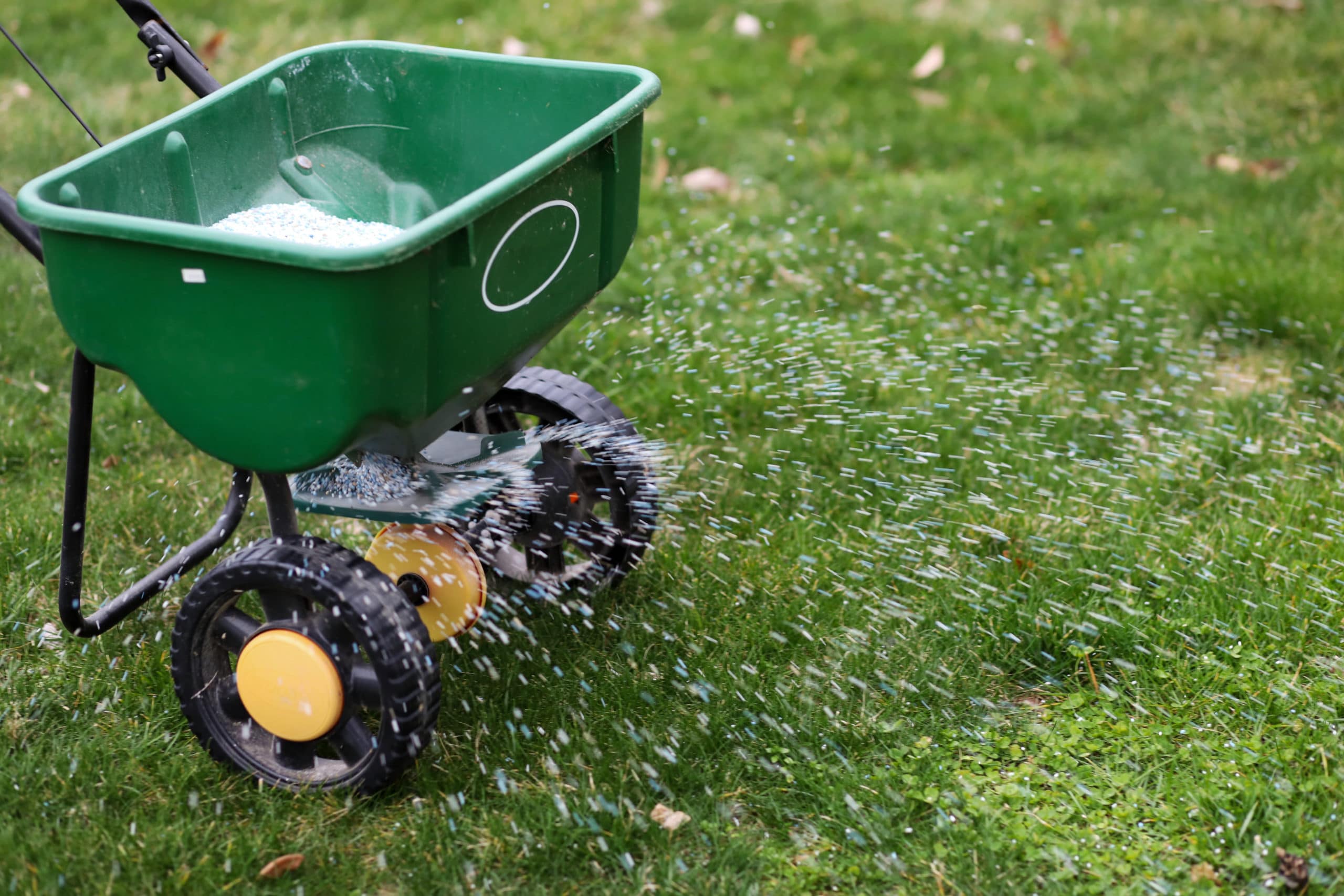 lawn fertilizer