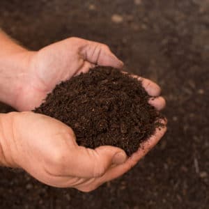 Turf Grow Organic Compost