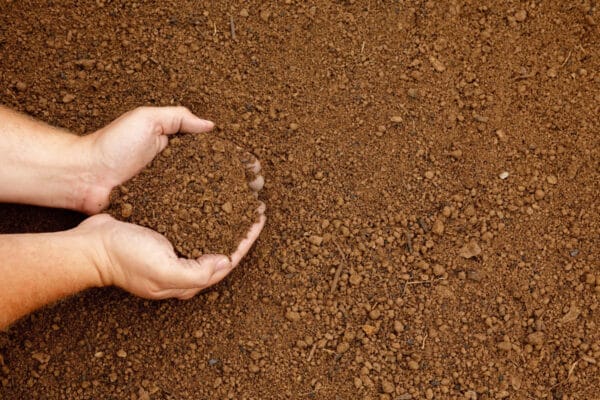 screened topsoil