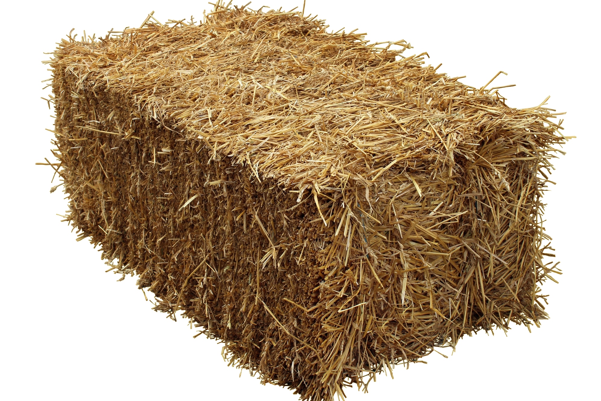 Bale Of Hay