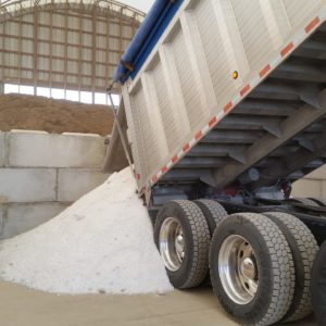 bulk road salt