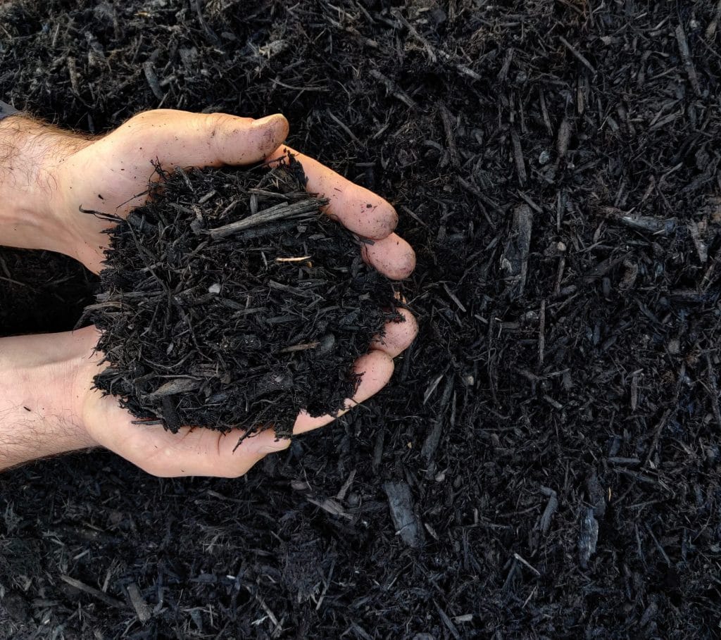 Beauty Bark Mulch