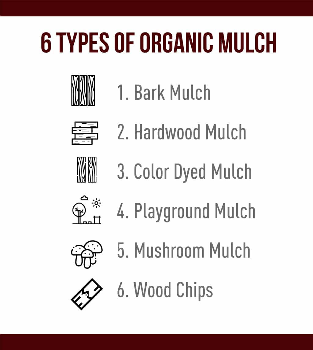 6 types of organic mulch