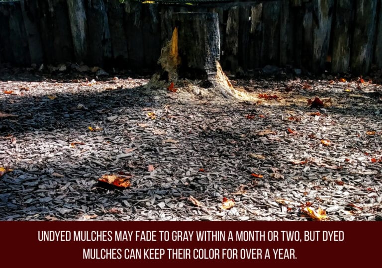 10 Main Types of Mulch [+10 tips on spreading it!] Zimmerman Mulch