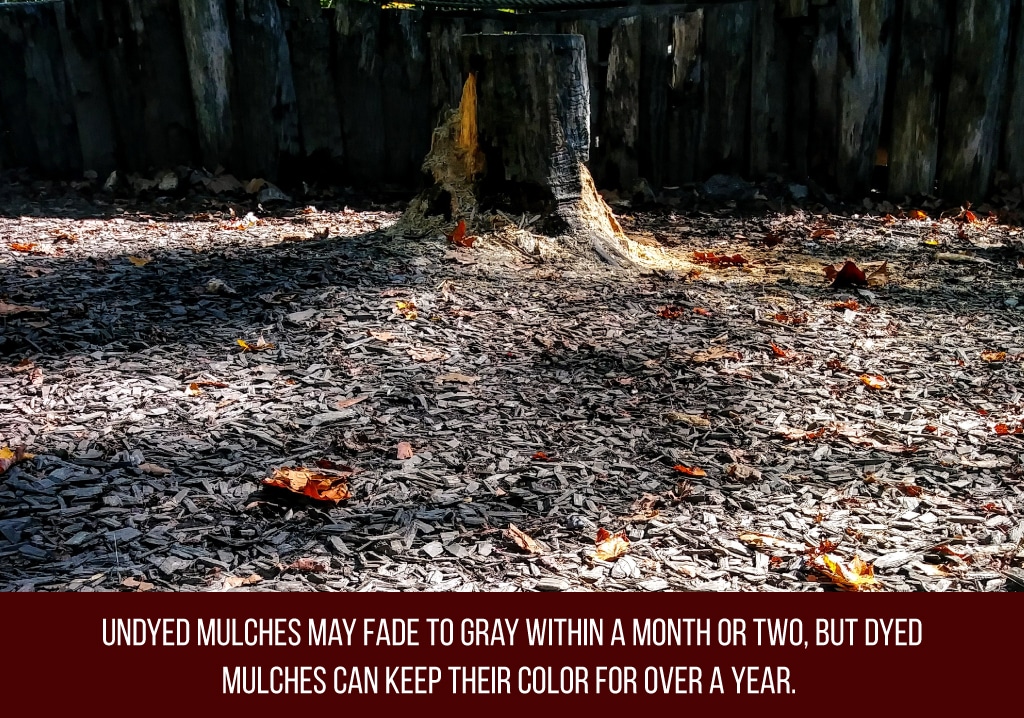 dyed mulches can keep their color for over a year