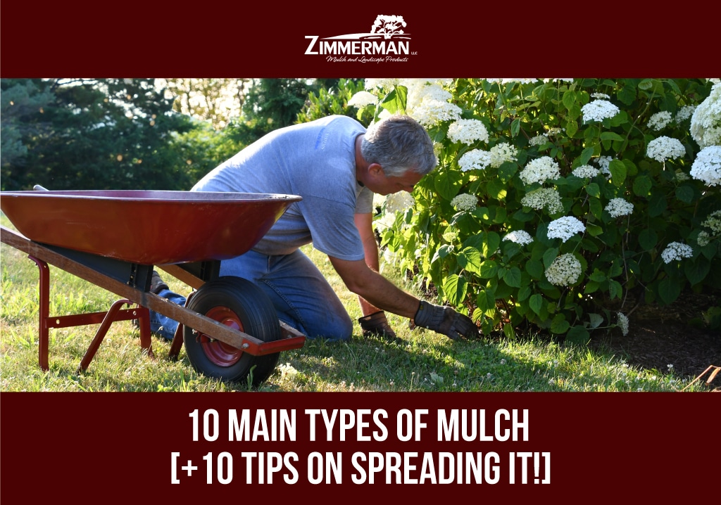 header 10 Main Types of Mulch [+10 tips on spreading it!]
