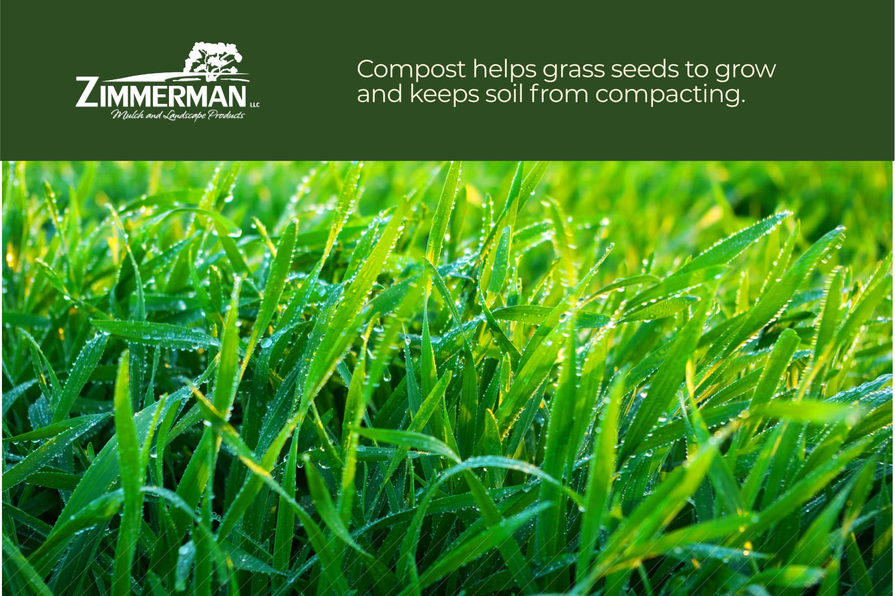 compost helps grass grow