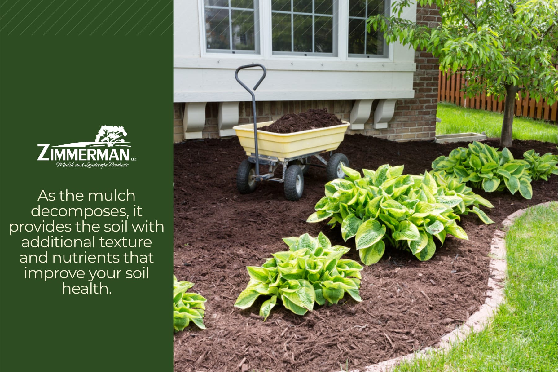 as the mulch decomposes, it provides the soil with additional texture and nutrients that improve your soil health