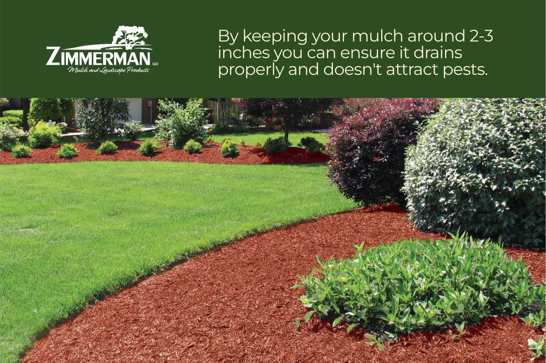 keep mulch around 2-23 inches to drain properly without attracting pests