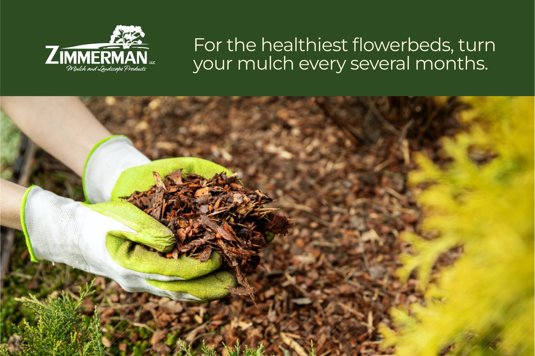 for the healthiest flowerbeds, turn your mulch every several months
