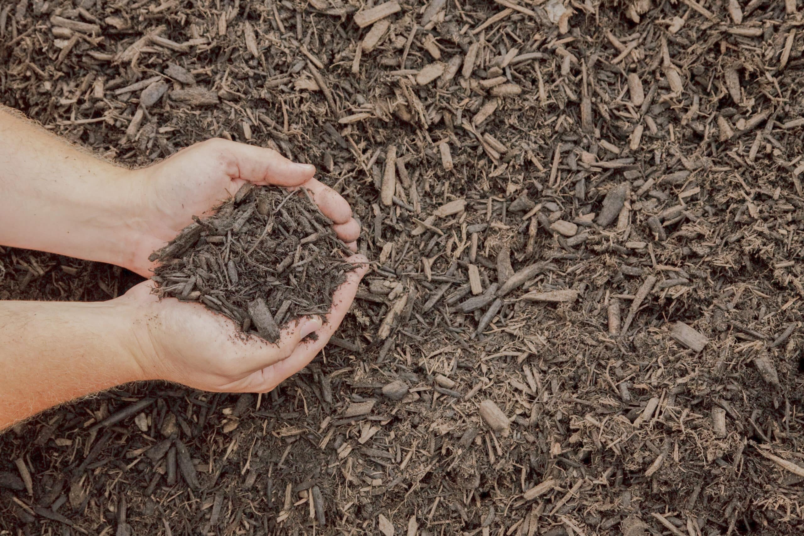 nature blend mulch