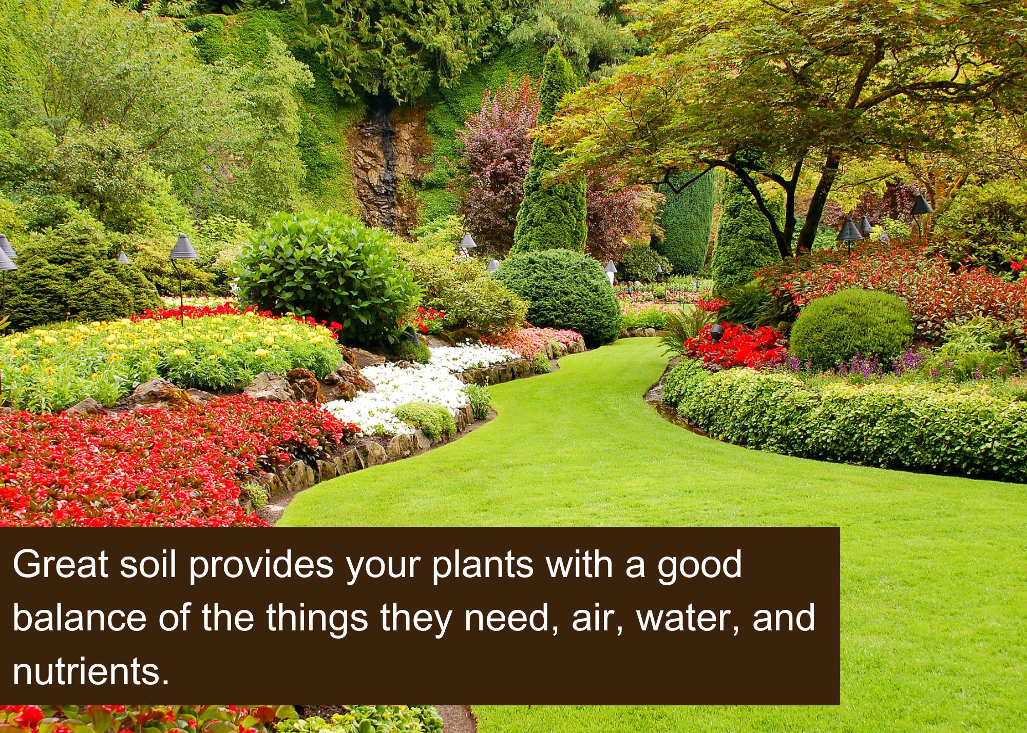 great soil provides you plants with what they need