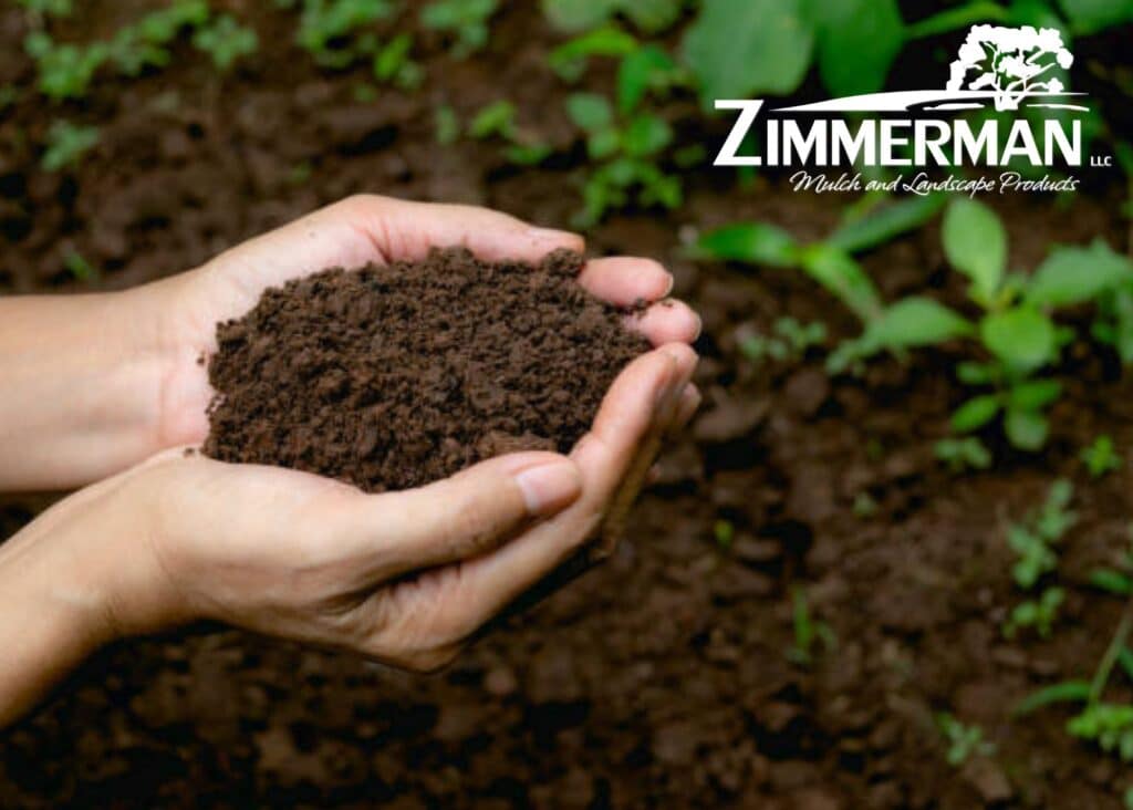 Title Image Is It Really Just Dirt? A Beginner’s Guide To Lawn Soil Types And Amendments