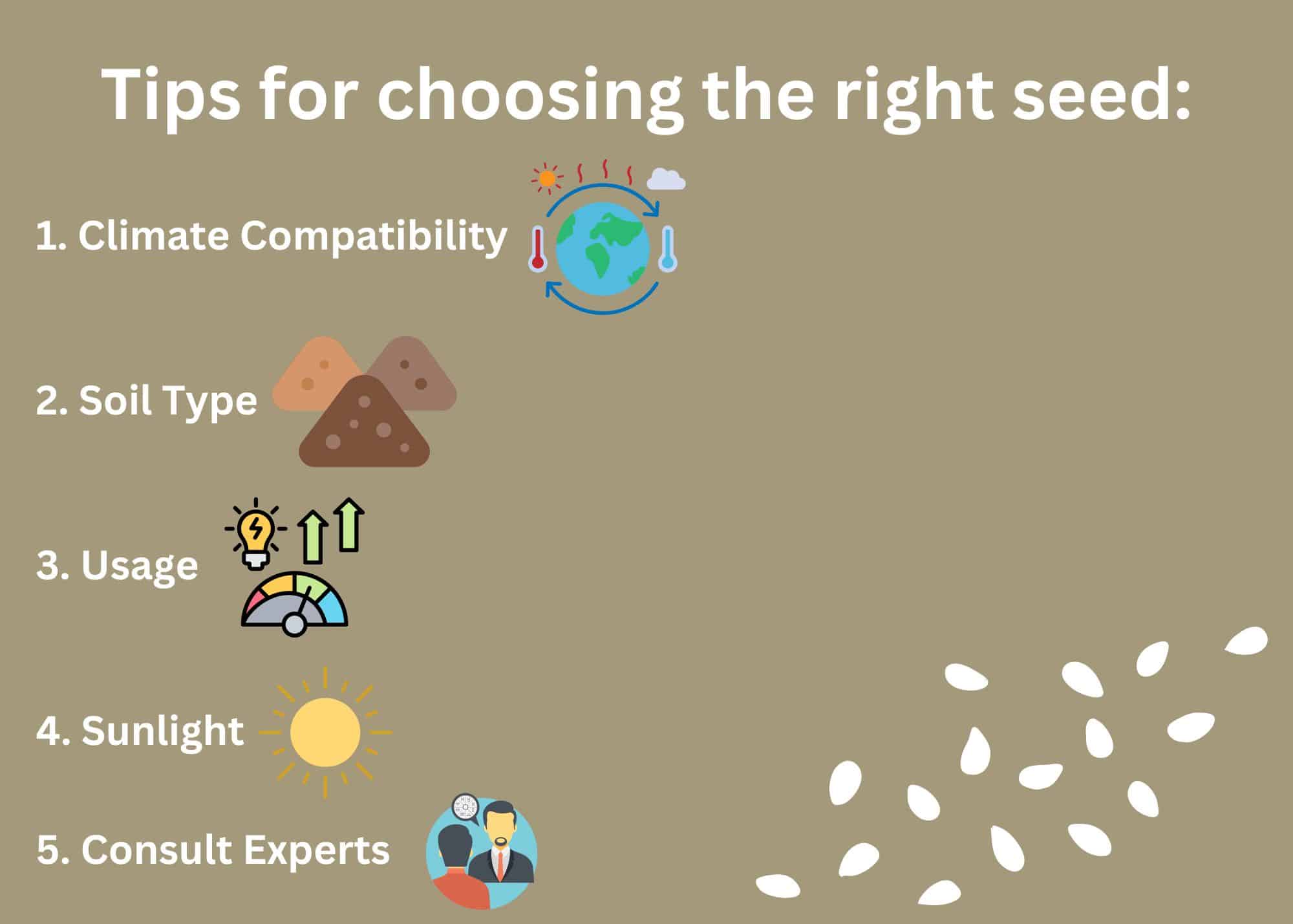 Tips for choosing the right grass seed