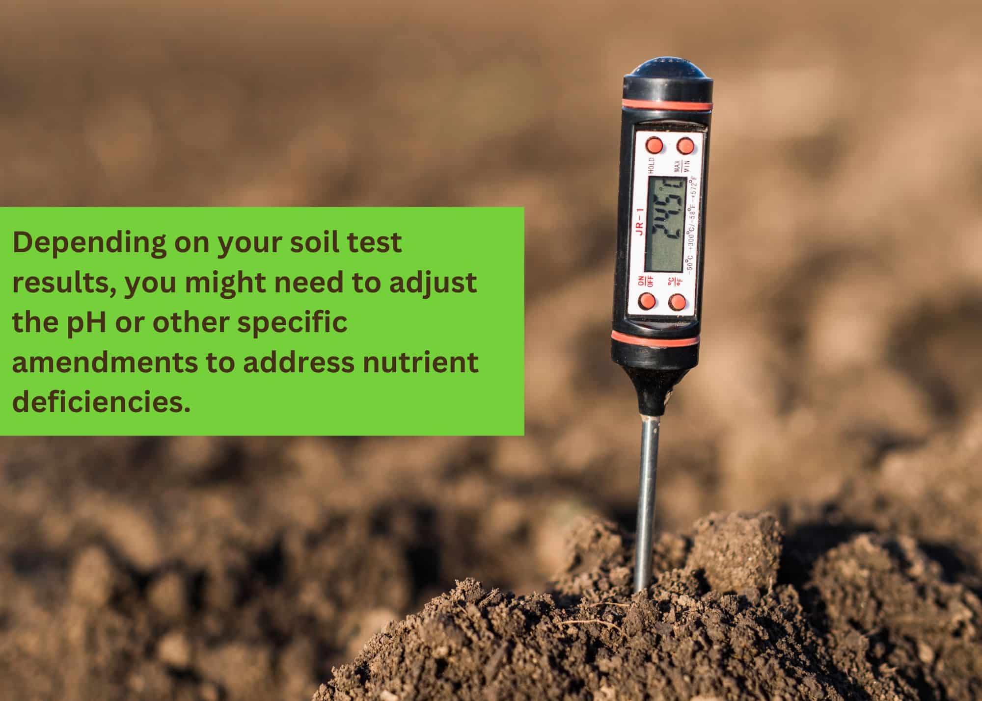 Soil testing kit