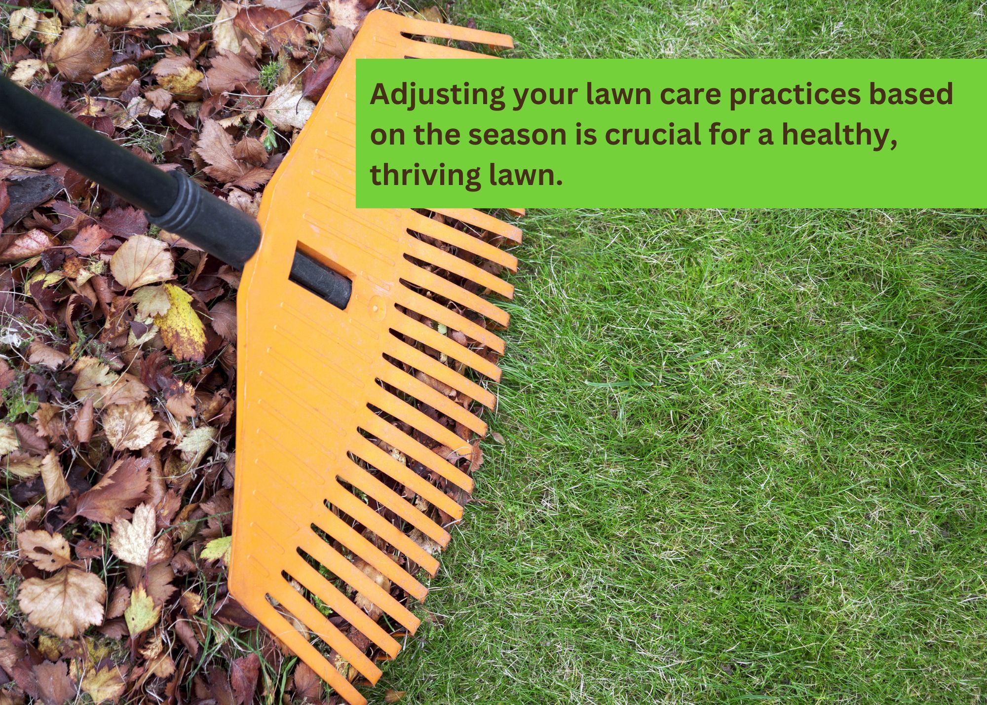 Lawn care for the seasons