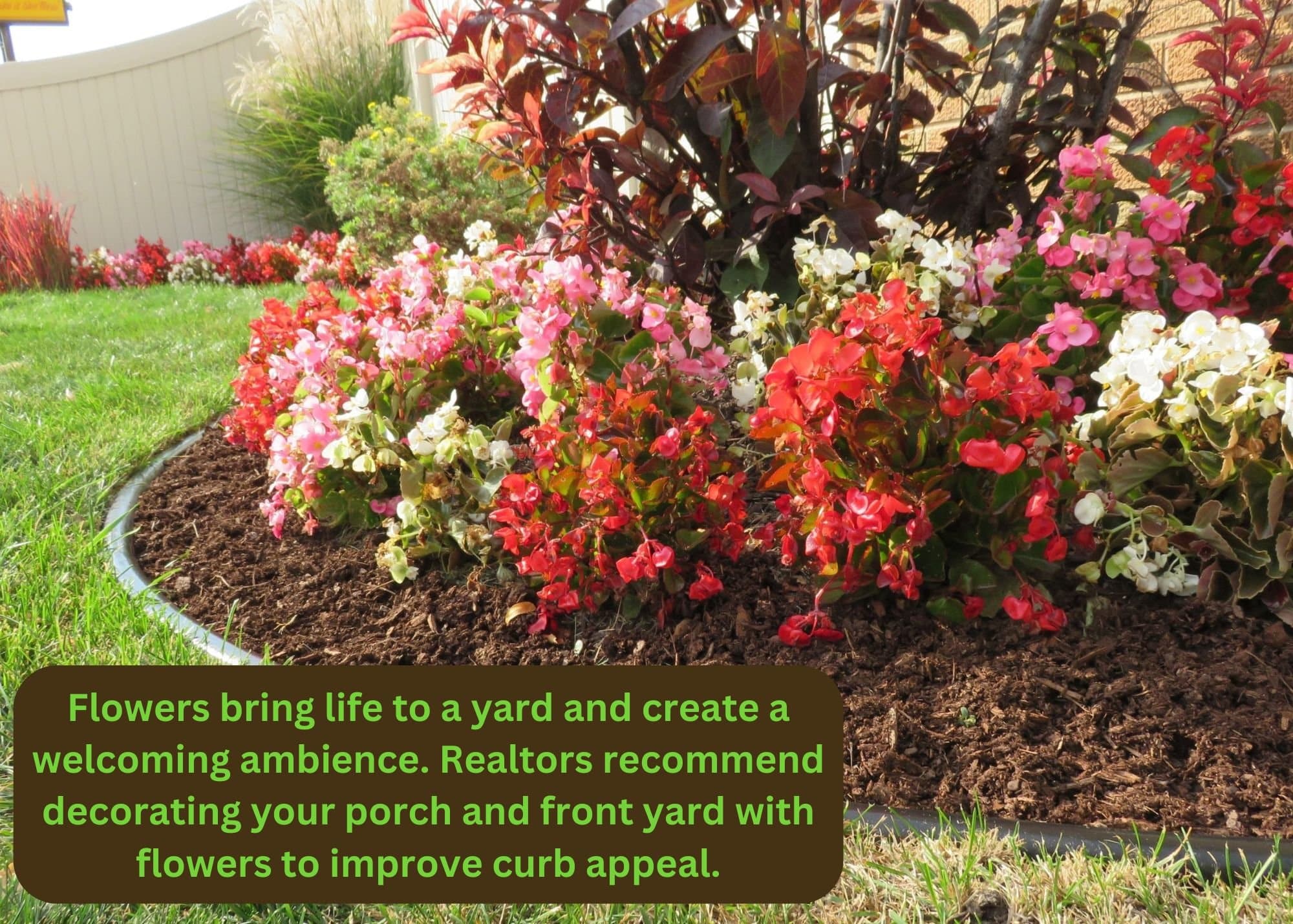 Text Graphic 1
