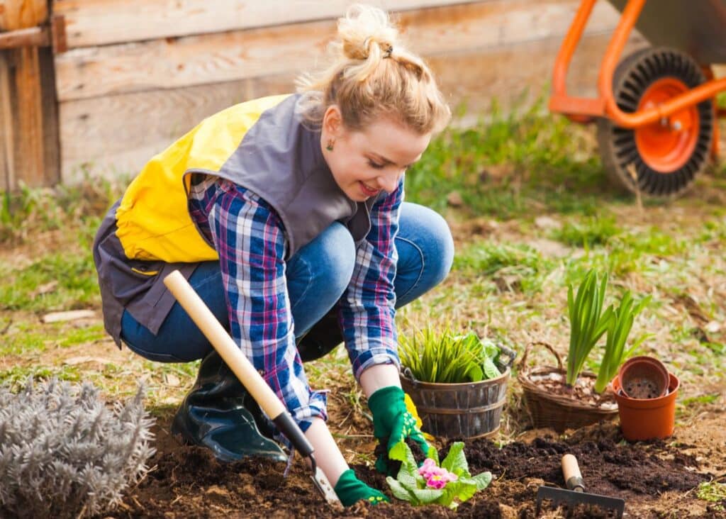 Header Image 2 Spring Landscaping Prep: Your Essential Guide to a Thriving Outdoor Space