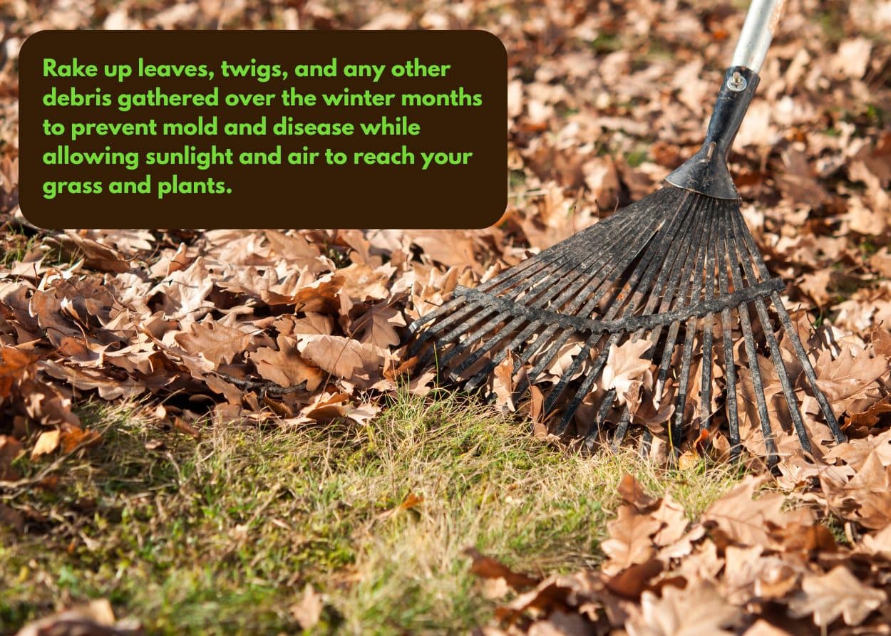 Text Graphic 2 (1)