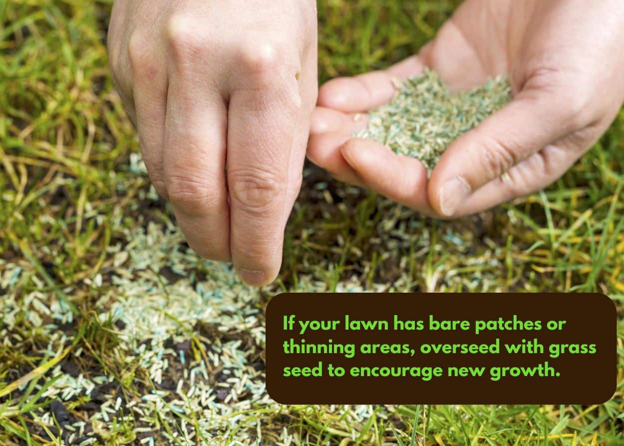 Text Graphic 4 (1)