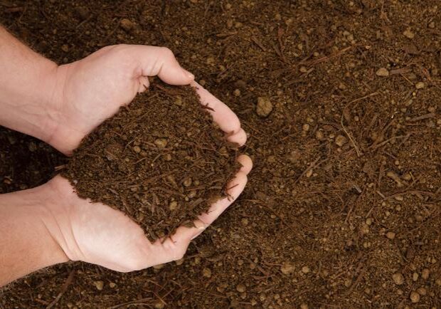 Amended Soil Blends