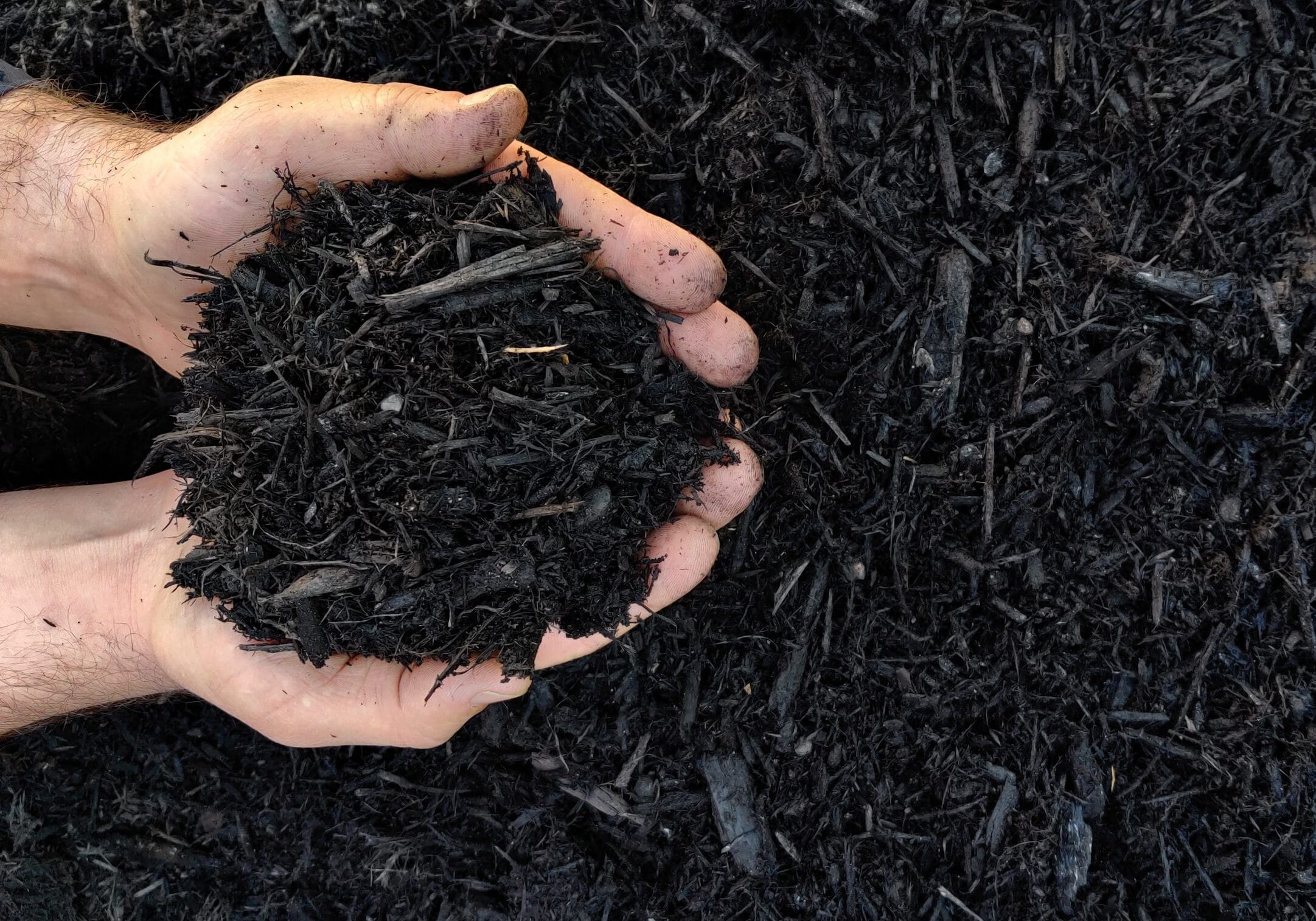 Beauty Bark Mulch