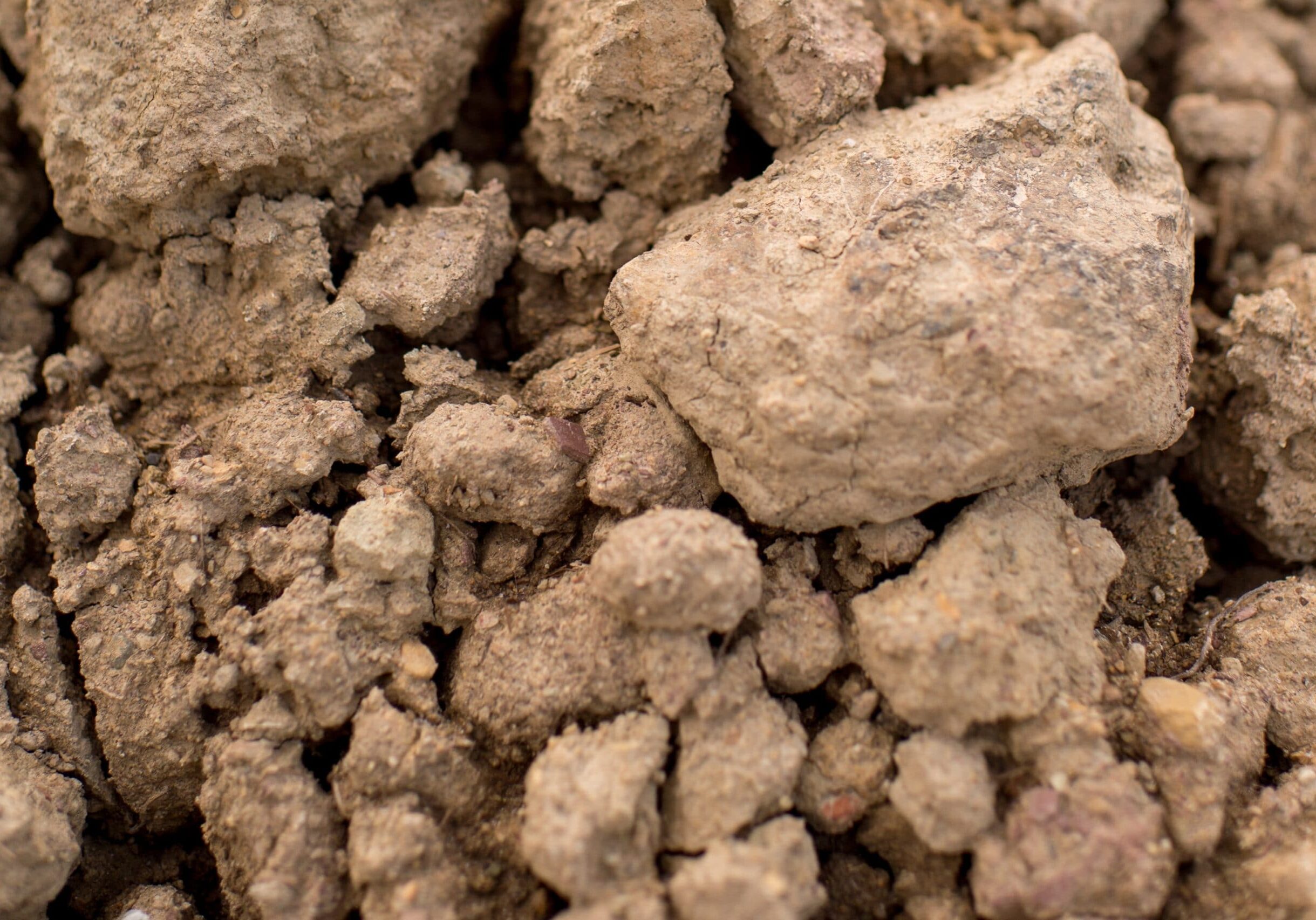 Fill Dirt