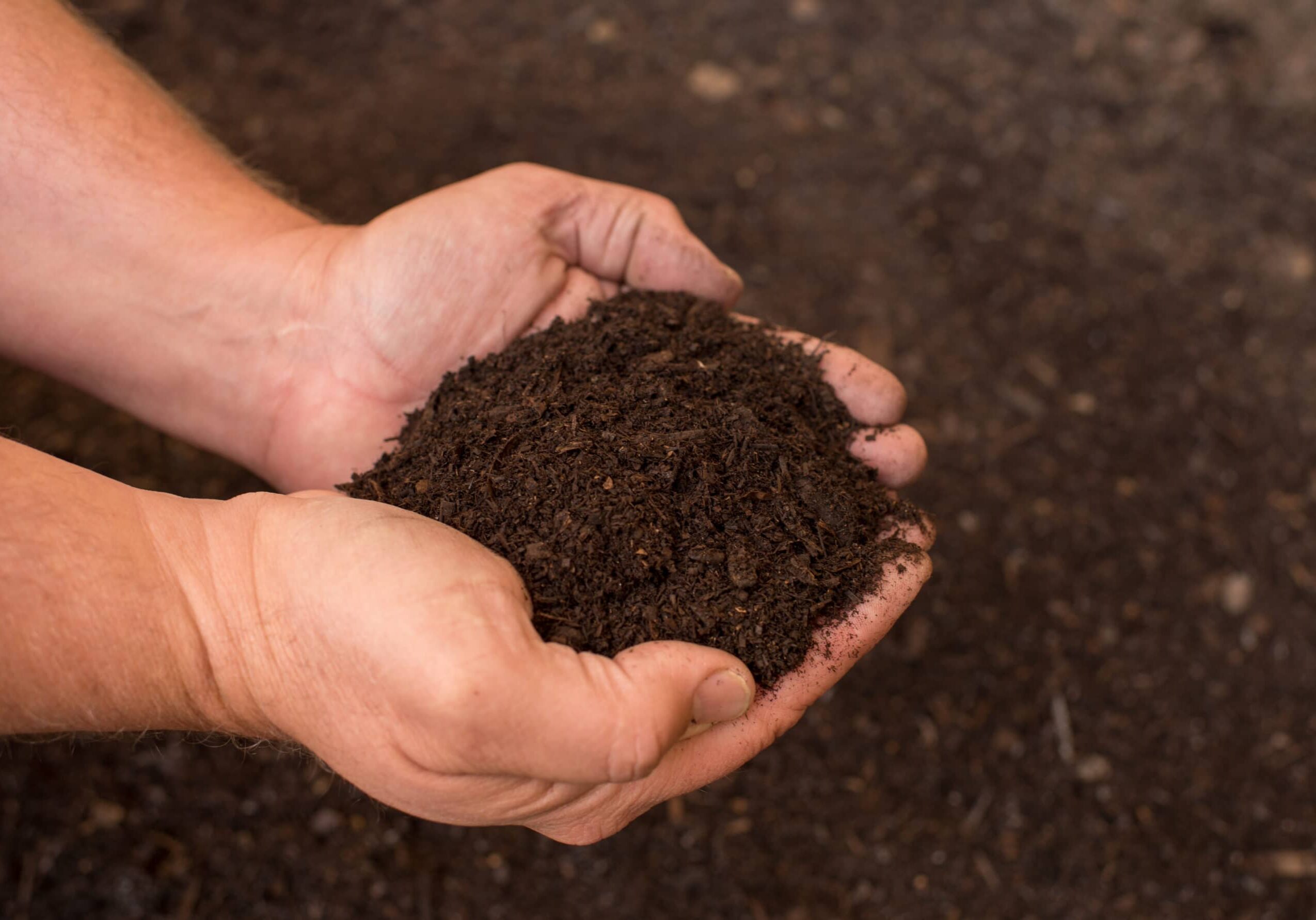 Turf Grow Organic Compost