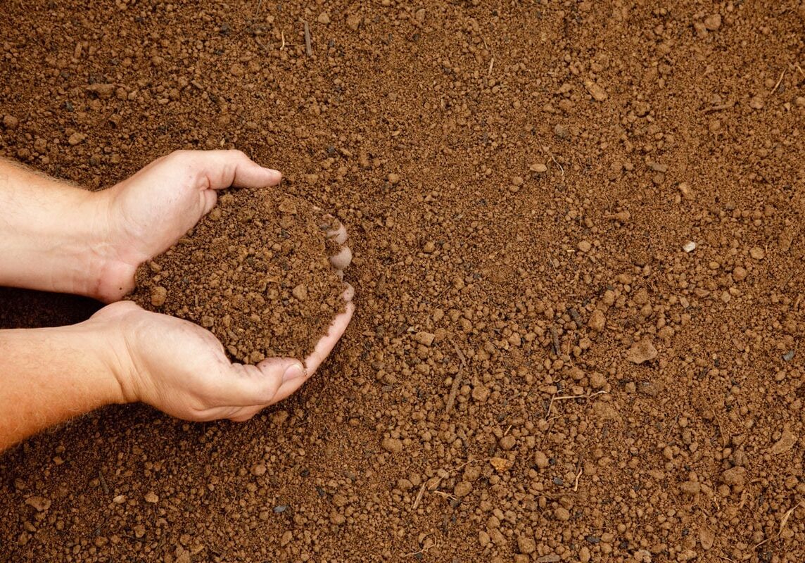 screened topsoil